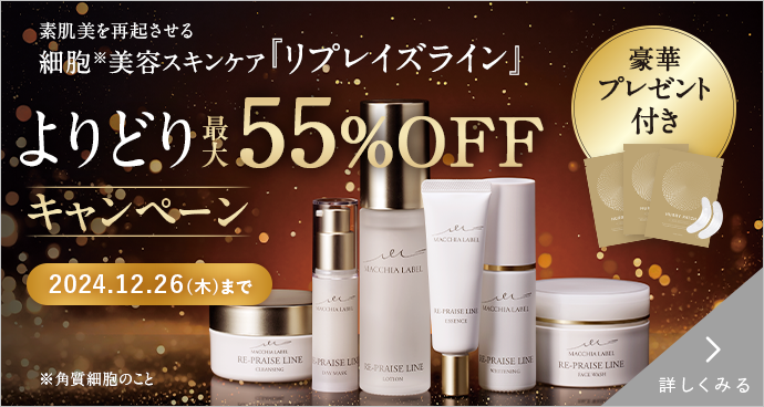 【当日・翌日発送】555SSXスティック エルセーヌ 当日・翌日発送】555SSXスティック エルセーヌ