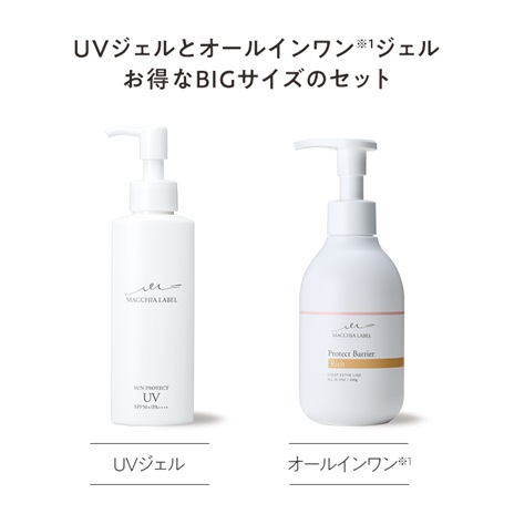 Ｗ　ＢＩＧポンプセット