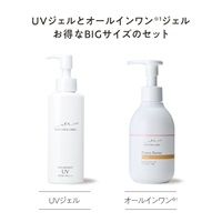 Ｗ　ＢＩＧポンプセット