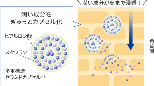 潤い成分をぎゅっとカプセル化　潤い成分が奥まで浸透！