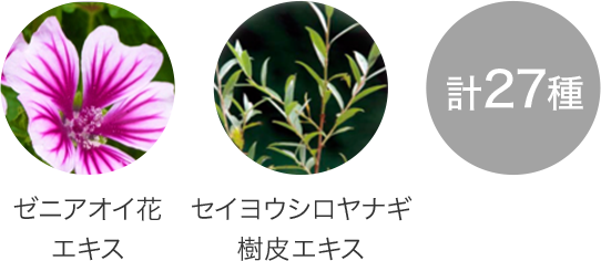 ゼニアオイ花エキス　シャクヤク根エキス　計27種