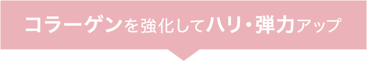 コラーゲンを強化してハリ・弾力アップ