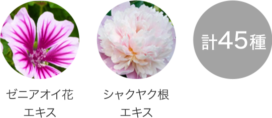 ゼニアオイ花エキス　シャクヤク根エキス　計45種