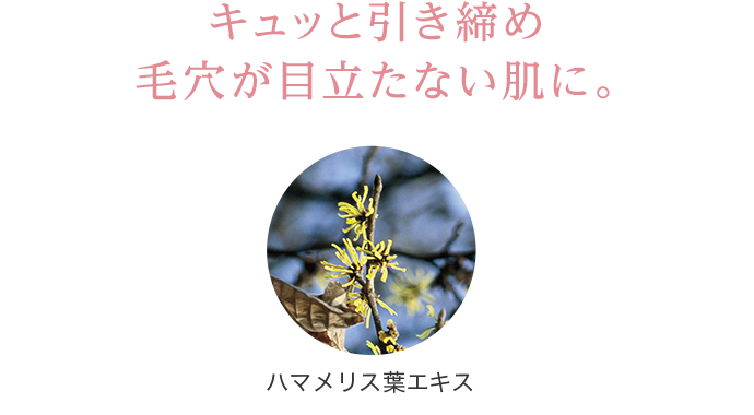 キュッと引き締め毛穴が目立たない肌に。