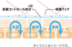 図解：皮脂コントロール成分※5と保湿パックによるバリア機能  ※イラストはイメージです