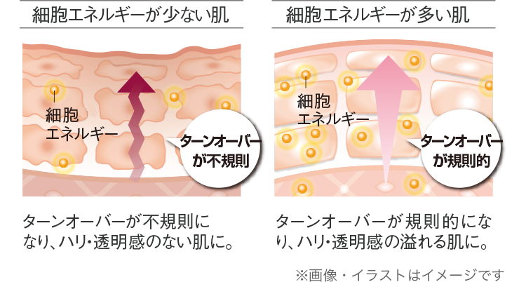 公式]夜用美容液 リプレイズナイトマスクa | マキアレイベルの