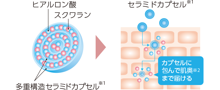 ヒアルロン酸 スクワラン 多重構造セラミドカプセル※1 セラミドカプセル※1 カプセルに包んで肌奥※2まで届ける