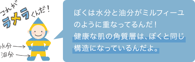 ぼくは水分と油分がミルフィーユのように重なってるんだ！健康な肌の角質層は、ぼくと同じ構造になっているんだよ。