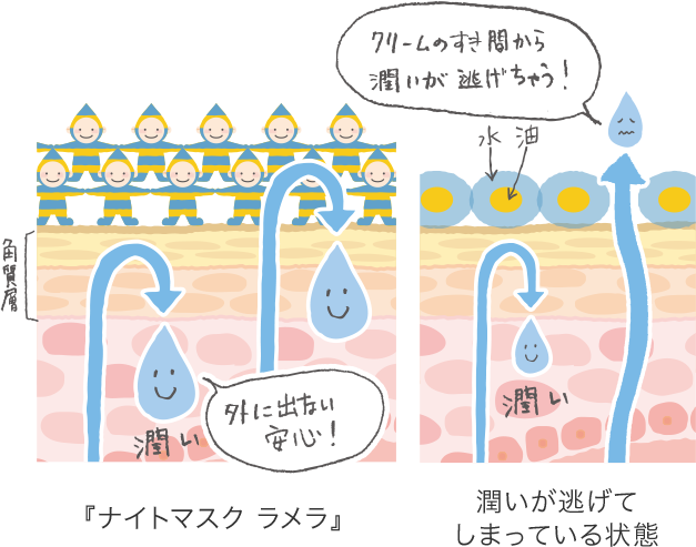 ラメラ構造 イメージ