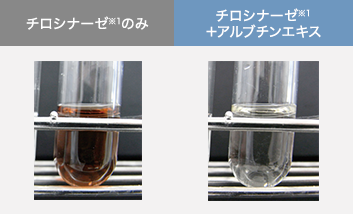 チロシナーゼ※1のみ（左）、チロシナーゼ※1＋アルブチンエキス（右）