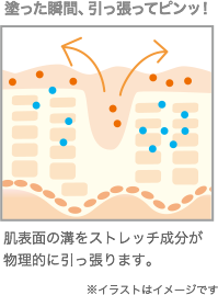 パワーストレッチシステム肌図　※イラストはイメージです。