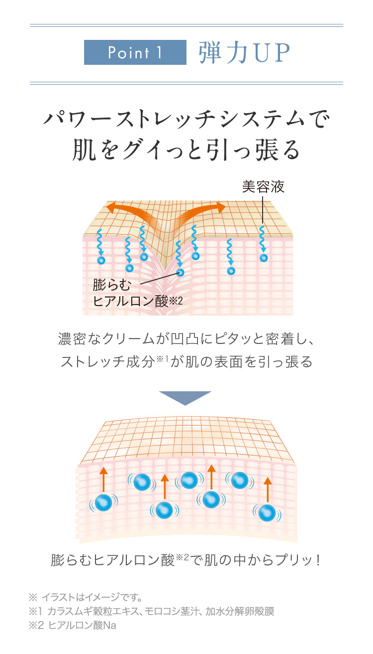 Point1 弾力UP パワーストレッチシステムで肌をグイっと引っ張る 濃密なクリームが凹凸にピタッと密着し、ストレッチ成分※1が肌の表面を引っ張る 膨らむヒアルロン酸※2で肌の中からプリッ！ | ※ イラストはイメージです。 ※1 カラスムギ穀粒エキス、モロコシ茎汁、加水分解卵殻膜 ※2 ヒアルロン酸Na