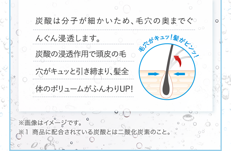 炭酸は分子が細かいため、毛穴の奥までぐんぐん浸透します。炭酸の浸透作用で頭皮の毛穴がキュッと引き締まり、髪全体のボリュームがふんわりUP！ ※画像はイメージです。 ※１ 商品に配合されている炭酸とは二酸化炭素のこと。