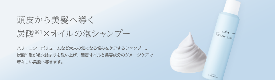 頭皮から美髪へ導く炭酸※１×オイルの泡シャンプー