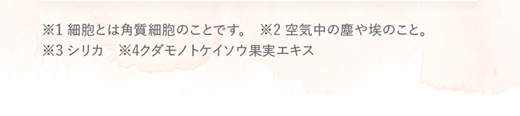 ※1 細胞とは角質細胞のことです。 ※2 空気中の塵や埃のこと。 ※3 シリカ ※4 クダモノトケイソウ果実エキス