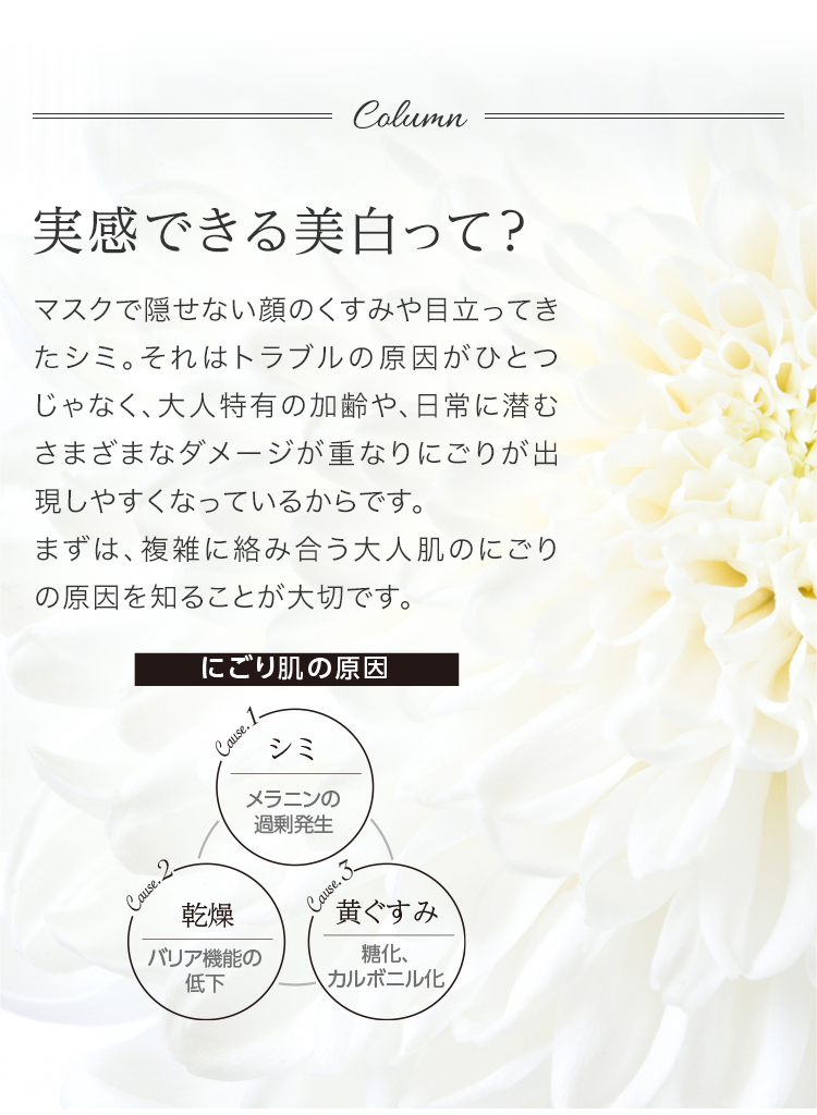 Column 実感できる美白って？ マスクで隠せない顔のくすみや目立ってきたシミ。それはトラブルの原因がひとつじゃなく、大人特有の加齢や、日常に潜むさまざまなダメージが重なりにごりが出現しやすくなっているからです。まずは、複雑に絡み合う大人肌のにごりの原因を知ることが大切です。