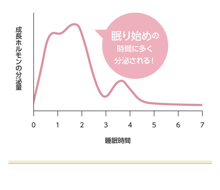 成長ホルモンの分泌量　眠り始めの時間に多く分泌される