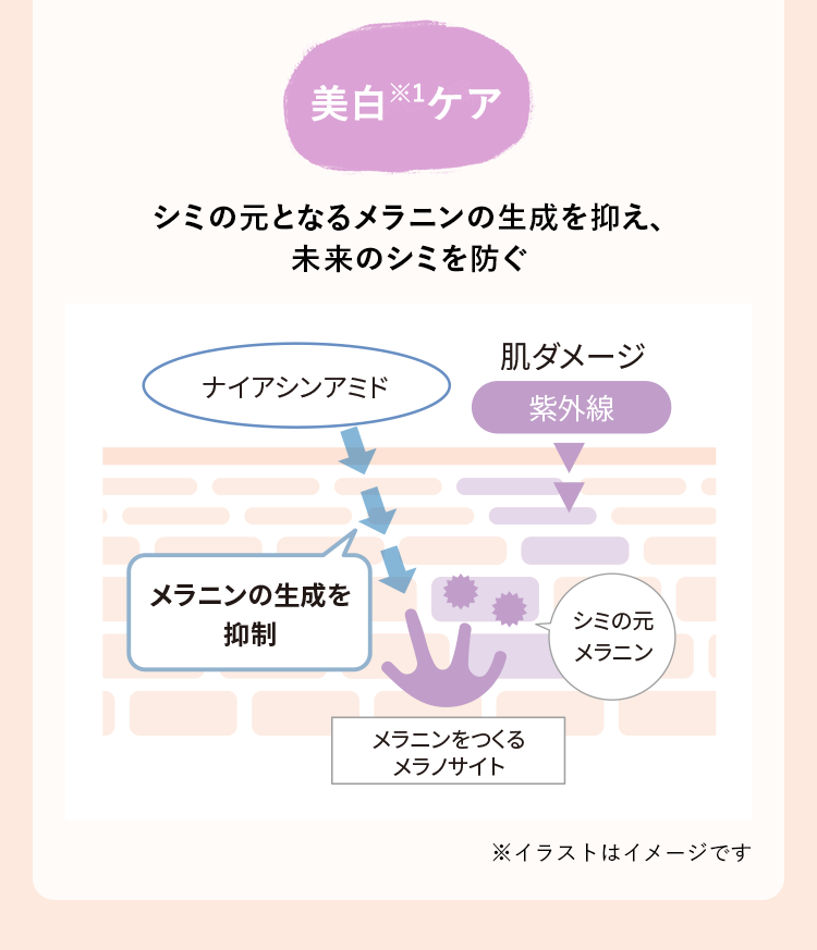 美白※1ケア　シミの元となるメラニンの生成を抑え 未来のシミを防ぐ