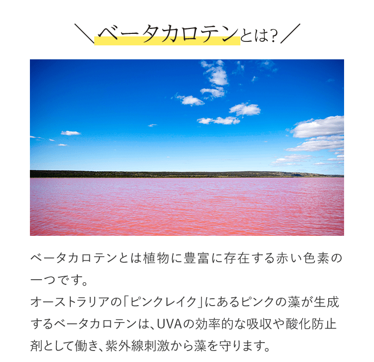 ベータカロテンとは? ベータカロテンとは植物に豊富に存在する赤い色素の一つです。オーストラリアの「ピンクレイク」にあるピンクの藻が生成するベータカロテンは、UVAの効率的な吸収や酸化防止剤として働き、紫外線刺激から藻を守ります。