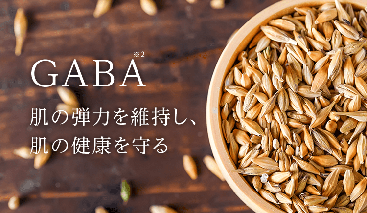 GABA※2 肌の弾力を維持し、肌の健康を守る
