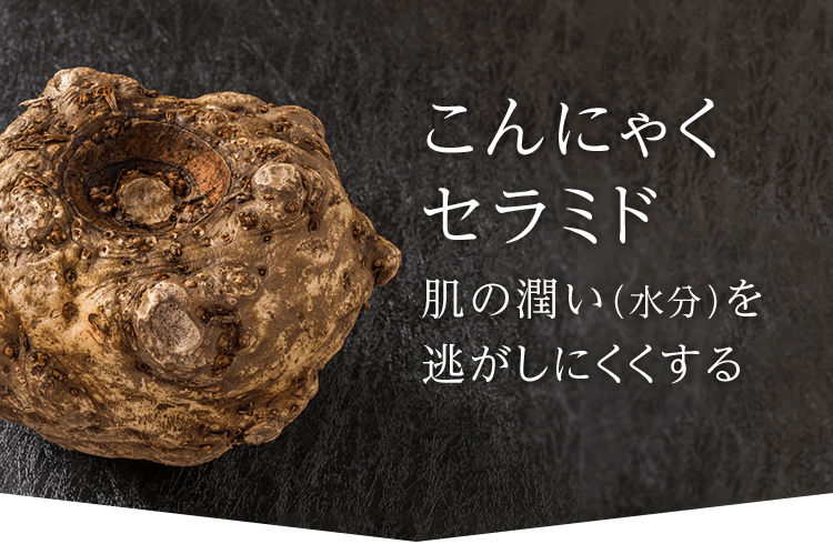 こんにゃくセラミド 肌の潤い（水分）を逃がしにくくする