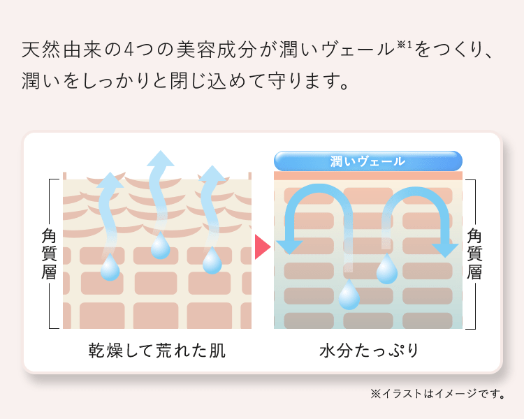 天然由来の4つの美容成分が潤いヴェール※1をつくり、潤いをしっかりと閉じ込めて守ります。 ※イラストはイメージです。