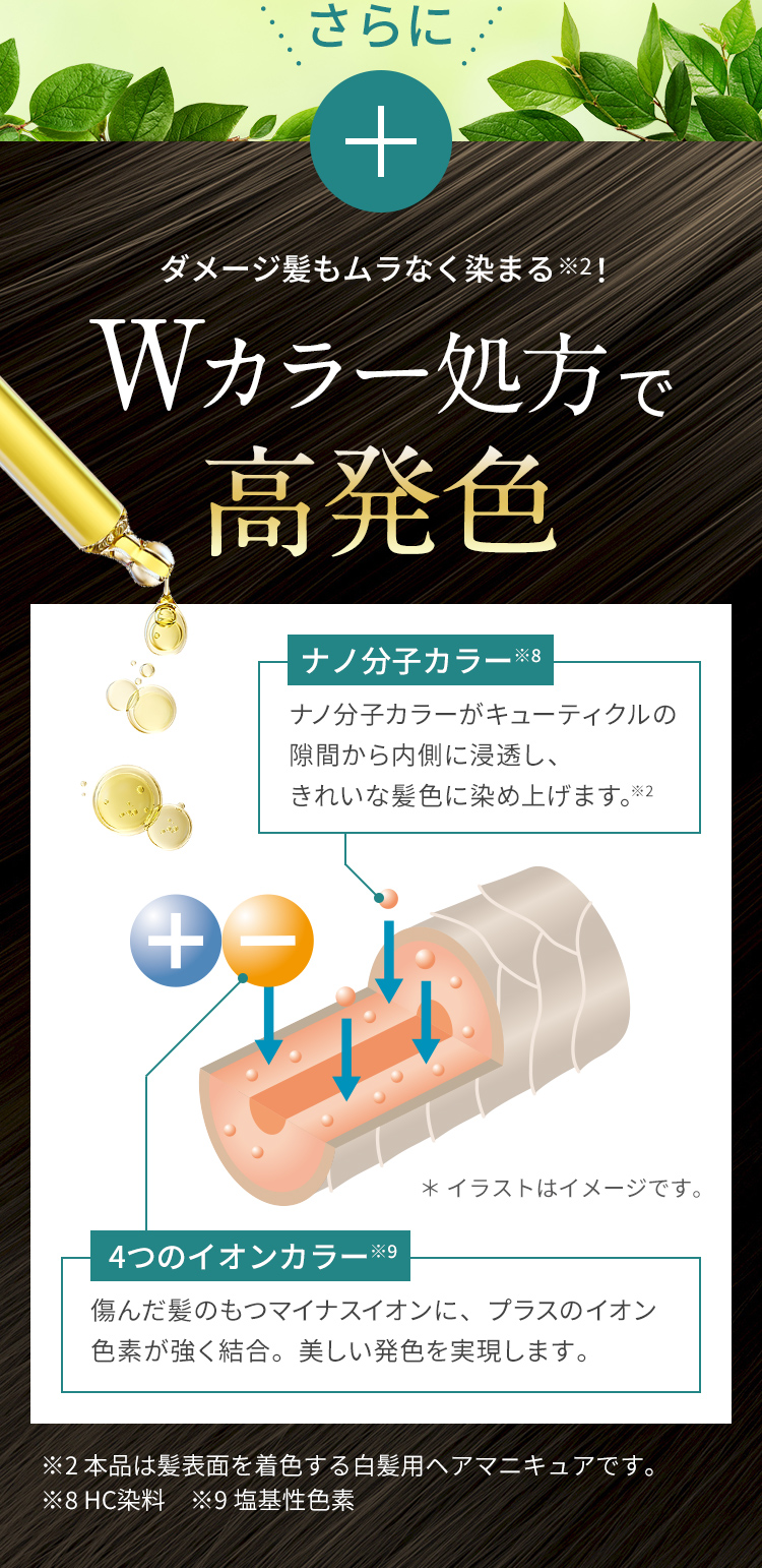 さらに Wカラー処方で高発色