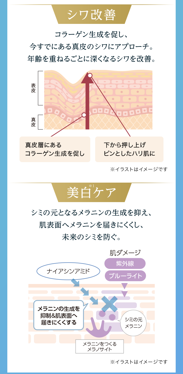 シワ改善 コラーゲン生成を促し、今すでにある真皮のシワにアプローチ。年齢を重ねるごとに深くなるシワを改善。 美白※1ケア シミの元となるメラニンの生成を抑え、肌表面へメラニンを届きにくくし、未来のシミを防ぐ。