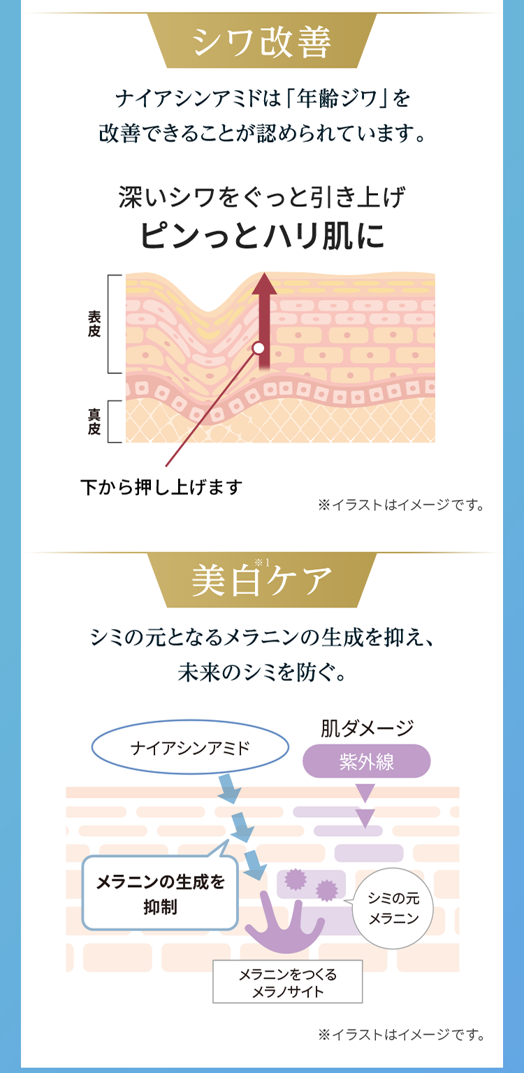 シワ改善 コラーゲン生成を促し、今すでにある真皮のシワにアプローチ。年齢を重ねるごとに深くなるシワを改善。 美白※1ケア シミの元となるメラニンの生成を抑え、肌表面へメラニンを届きにくくし、未来のシミを防ぐ。