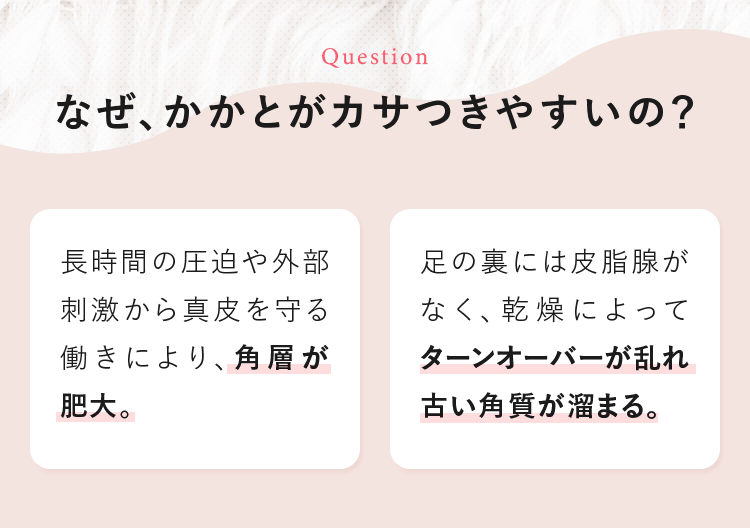 なぜ、かかとがカサつきやすいの？ [長時間の圧迫や外部刺激から真皮を守る働きにより、角層が肥大。][足の裏には皮脂腺がなく、乾燥によってターンオーバーが乱れ古い角質が溜まる。]