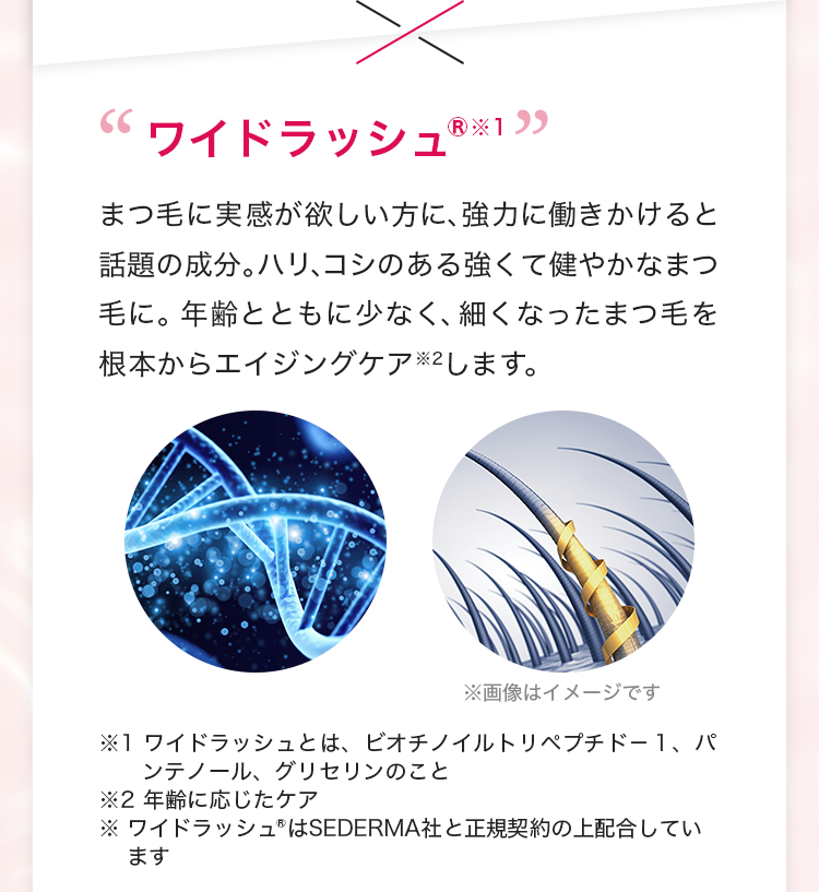 まつ毛に実感が欲しい方に、強力に働きかけると話題の成分。ハリ、コシのある強くて健やかなまつ毛に。年齢とともに少なく、細くなったまつ毛を根本からエイジングケア※2します。