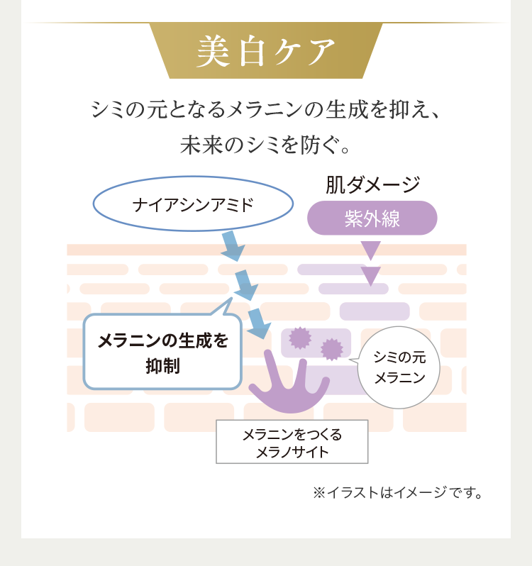 美白ケア シミの元となるメラニンの生成を抑え、未来のシミを防ぐ。