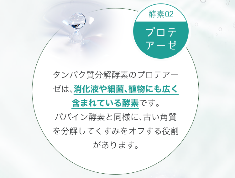 酵素02 プロテアーゼ タンパク質分解酵素のプロテアーゼは、消化液や細菌、植物にも広く含まれている酵素です。パパイン酵素と同様に、古い角質を分解してくすみをオフする役割があります。