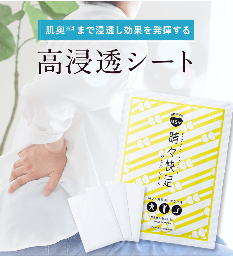 公式]ボディケア MSM晴々快足ジェルクリーム