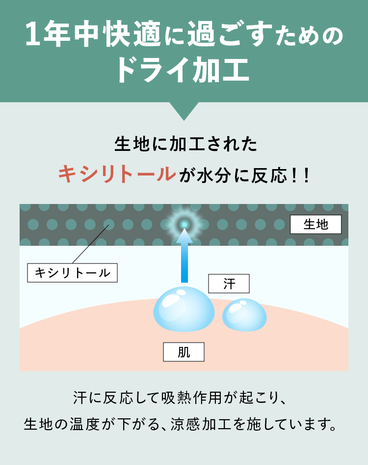 1年中快適に過ごすためのドライ加工 生地に加工されたキシリトールが水分に反応！