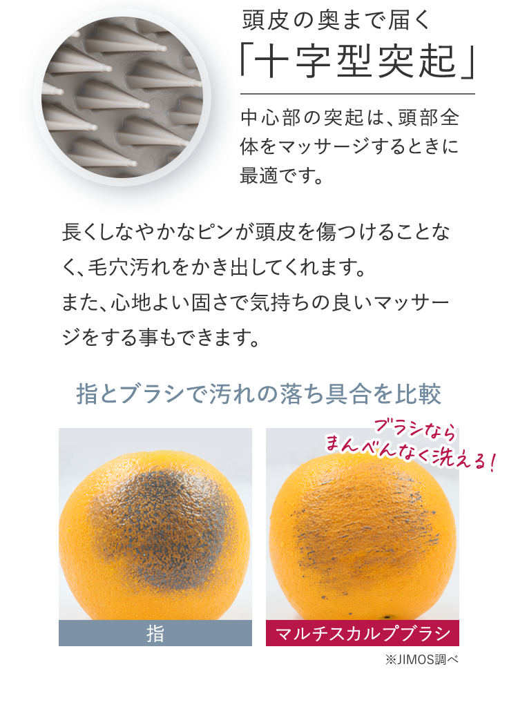 頭⽪の奥まで届く「十字型突起」