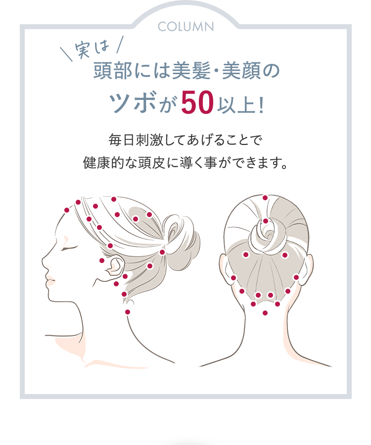 COLUMN｜実は頭部には美髪・美顔のツボが50以上！