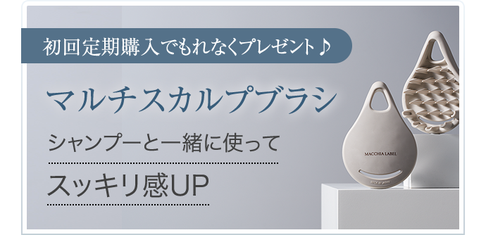 マルチスカルプブラシ