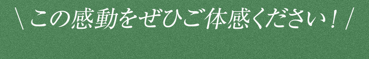 この感動をぜひご体感ください！