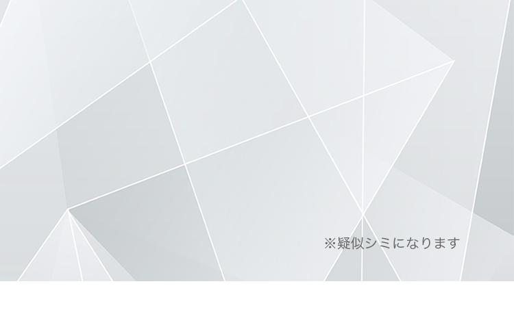 ※疑似シミになります