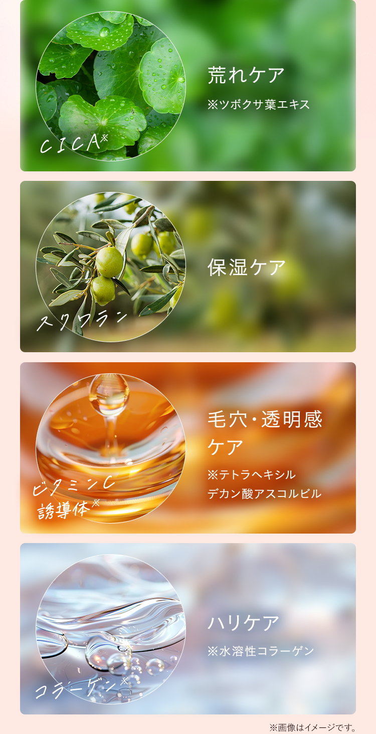 荒れケア 保湿ケア 毛穴・透明感ケア ハリケア