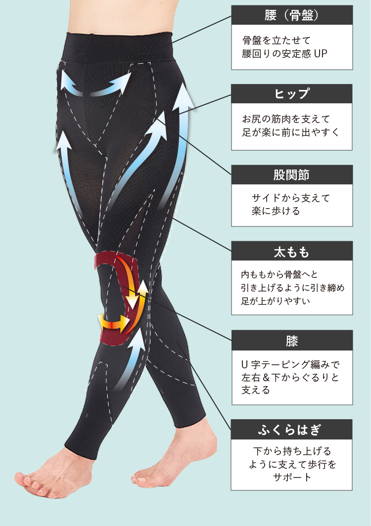 腰（骨盤）骨盤を立たせて腰回りの安定感UP｜ヒップ お尻の筋肉を支えて足が楽に前に出やすく｜股関節 サイドから支えて楽に歩ける｜太もも 内ももから骨盤へと引き上げるように引き締め足が上がりやすい｜膝 U字テーピング編みで左右＆下からぐるりと支える｜ふくらはぎ 下から持ち上げるように支えて歩行をサポート