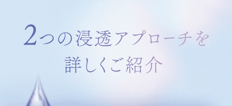 ２つの浸透アプローチを詳しくご紹介