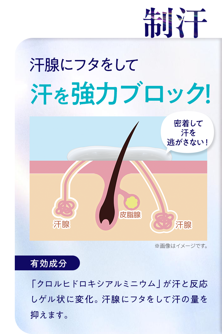 制汗｜汗腺にフタをして汗を強力ブロック！