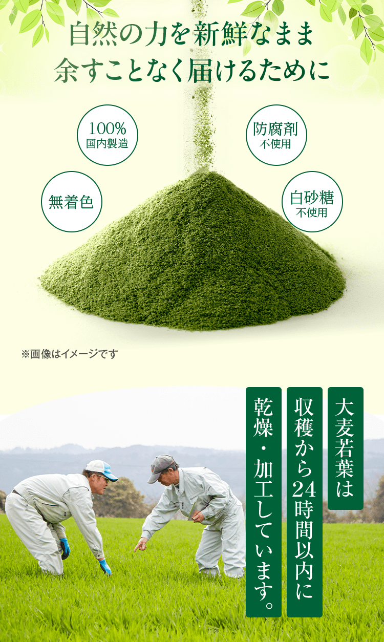 自然の力を新鮮なまま余すことなく届けるために 100%国内製造 防腐剤不使用 無着色 白砂糖不使用