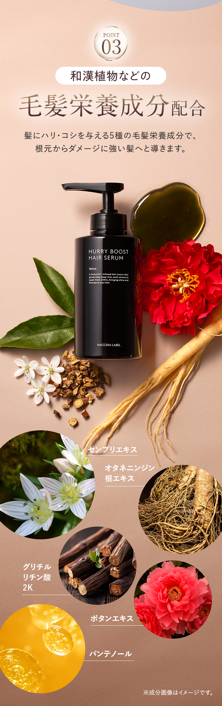 POINT03 和漢植物などの毛髪栄養成分配合
