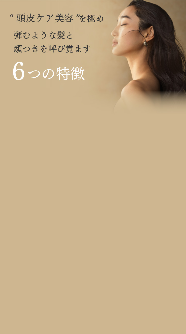 “頭皮ケア美容”を極め弾むような髪と顔つきを呼び覚ます 6つの特徴