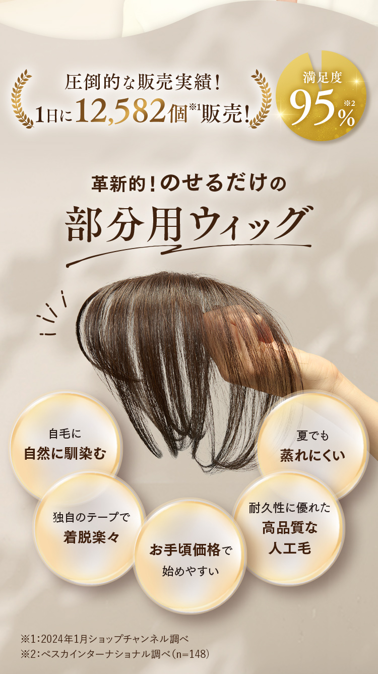 革新的！のせるだけの部分用ウィッグ