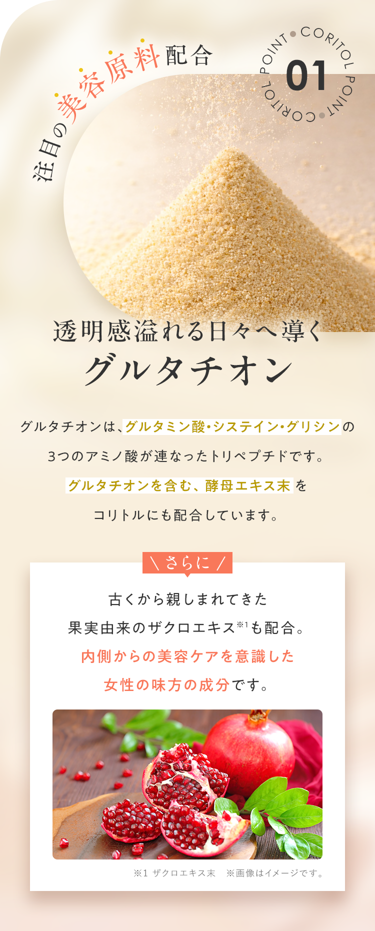 POINT01 注目の美容原料配合 透明感溢れる日々へ導くグルタチオン