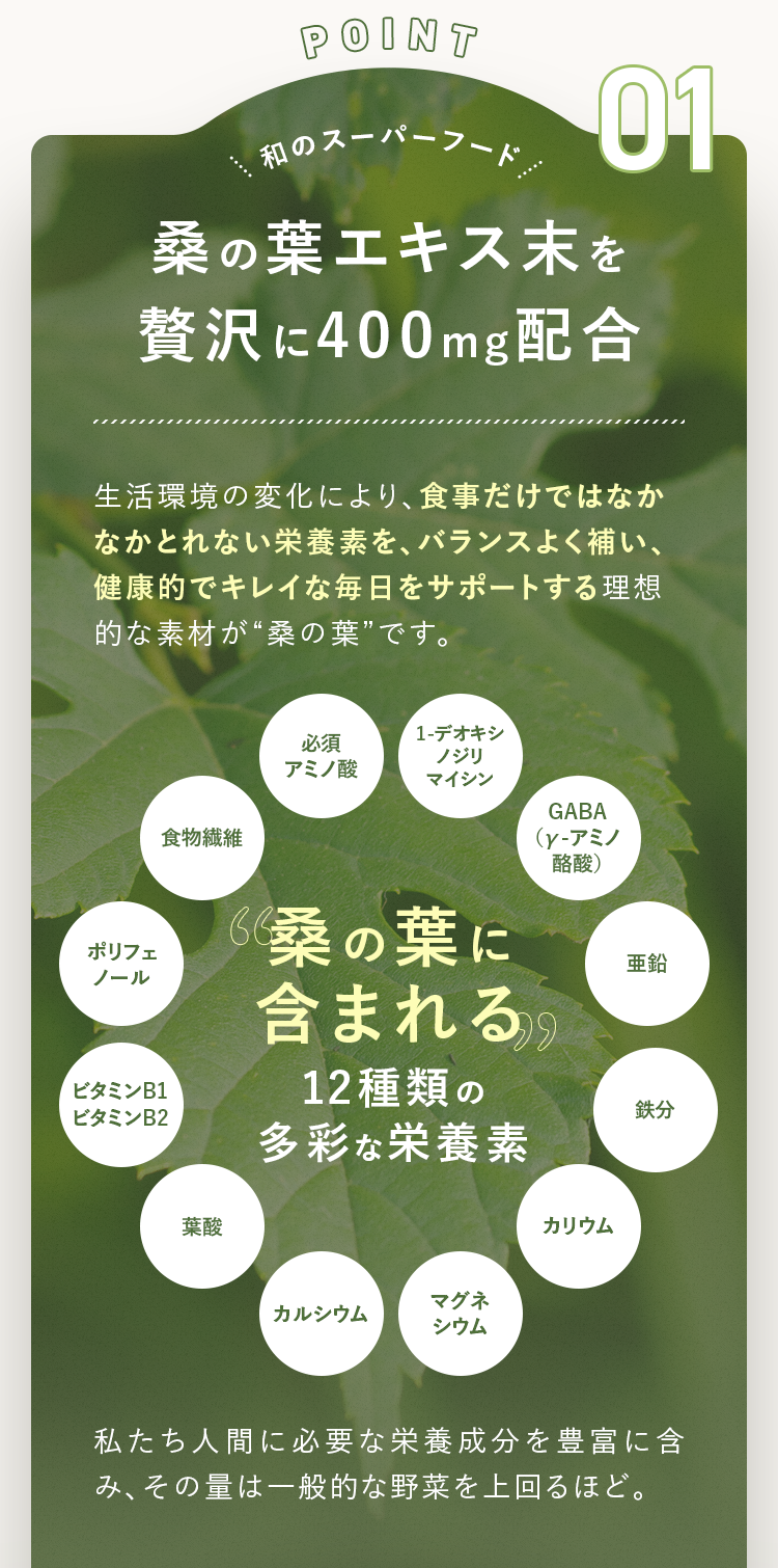 POINT01 桑の葉エキス末を贅沢に400mg配合